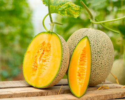 Background hero image for blog post: $When is Cantaloupe in Season?